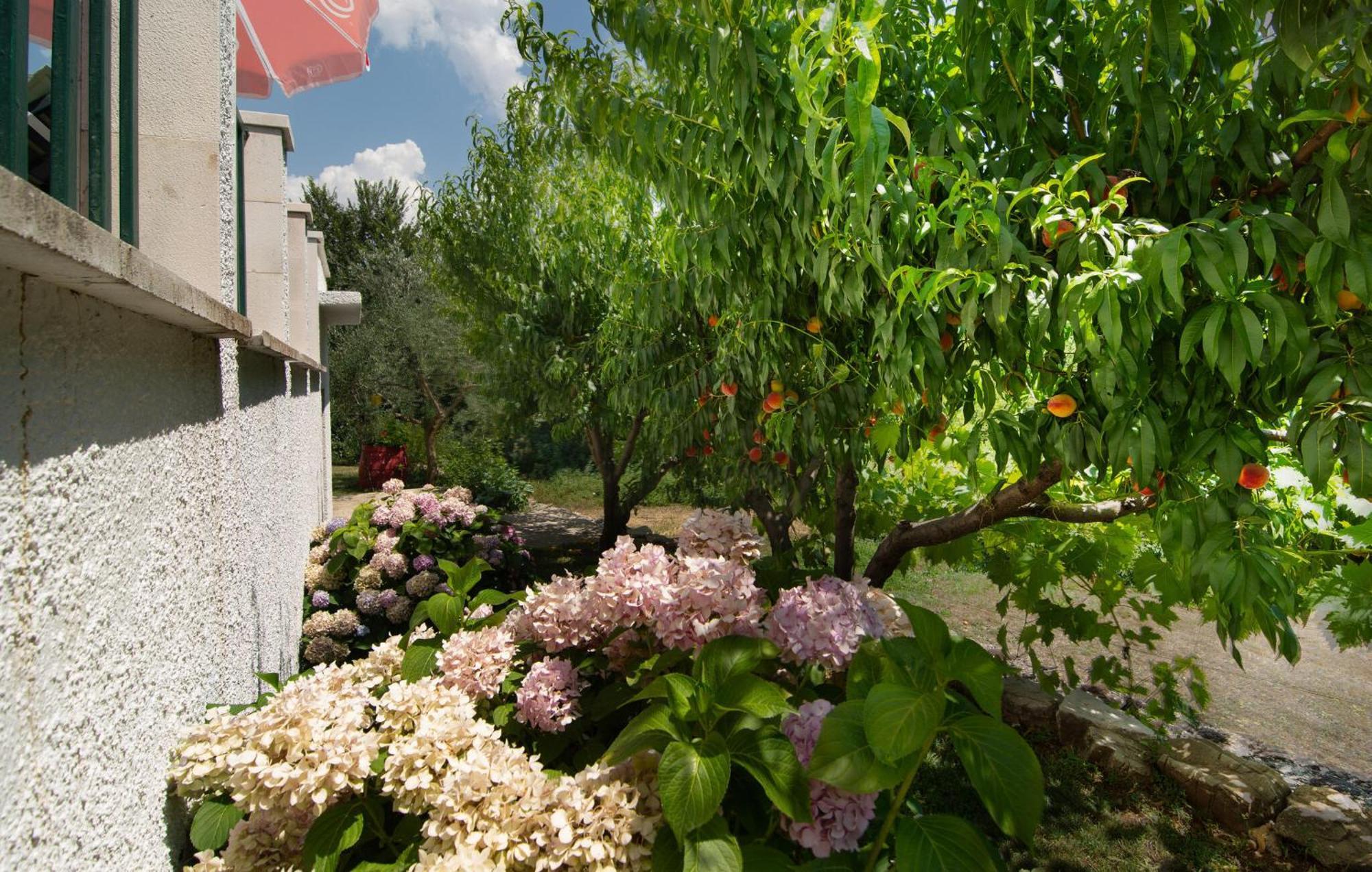 Cozy Home In Podaspilje With Kitchen Svinisce Exterior foto